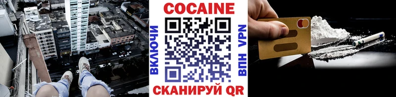 купить наркотик  Волхов  Cocaine Fish Scale 