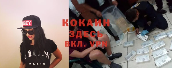 ПСИЛОЦИБИНОВЫЕ ГРИБЫ Белокуриха