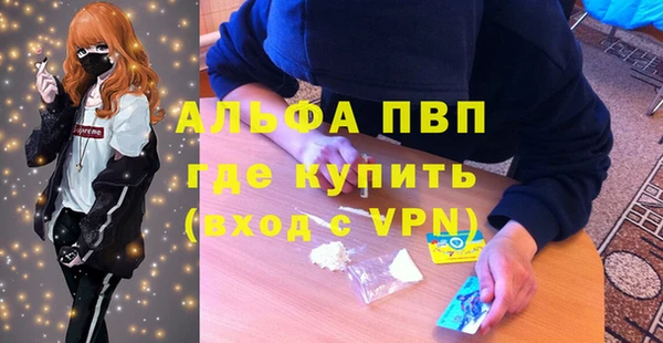 ПСИЛОЦИБИНОВЫЕ ГРИБЫ Белокуриха