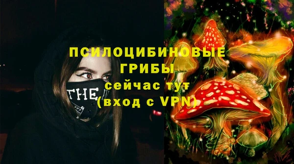 шишки Богданович