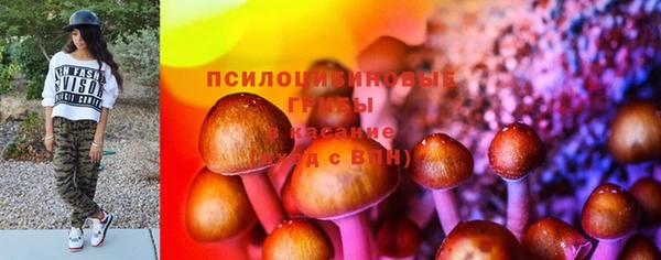 шишки Богданович